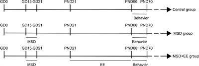 Environmental Enrichment Reverses Maternal Sleep Deprivation-Induced Anxiety-Like Behavior and Cognitive Impairment in CD-1 Mice